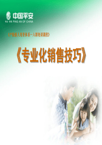 《专业化销售技巧》
