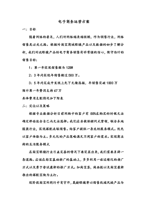 眼镜行业电子商务B2C运营方案