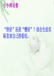 欲速则不达1PPT