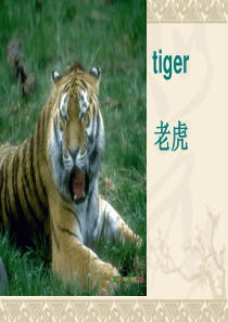 三年级英语That monkey is fat课件