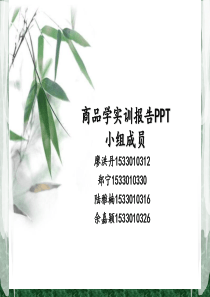 商品学实训报告PPT