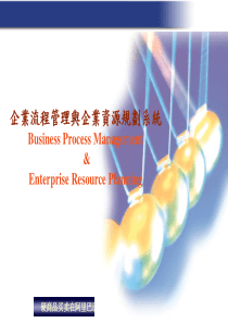企業流程管理與企業資源規劃系統