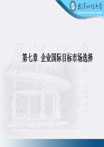 第七章国际市场细分与目标市场