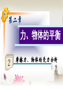 2013届高考物理第一轮考点总复习课件――摩擦力、物体的受力分析