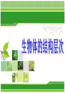2.3生物体的结构层次(1)