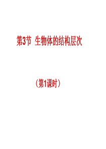 2.3生物体的结构层次1