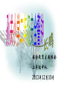 二年级安全教育主题班会.ppt