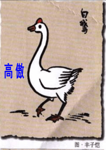 人教版四年级语文上册《白公鹅》ppt