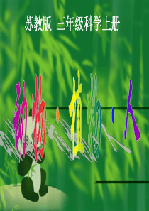 苏教版小学科学三年级上册《动物植物人》PPT课件