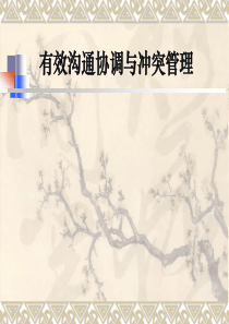 有效沟通协调与冲突管理(2)