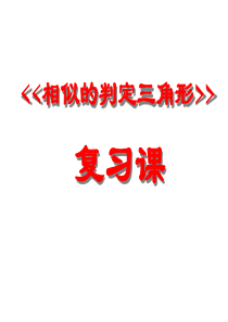 相似三角形复习 1ppt