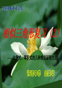 相似三角形的判定和性质复习