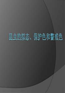 拟态和保护色