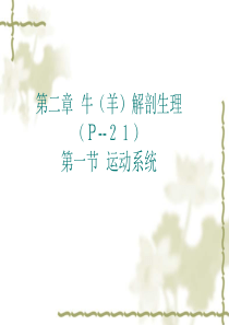 2第二章牛(羊)解剖生理第一节运动系统