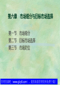 第六章市场细分与目标市场选择
