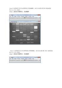 image j中文使用方法