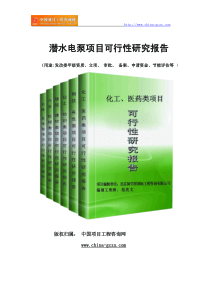 潜水电泵项目可行性研究报告范文格式(专业经典案例)