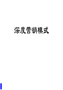 深度营销模式