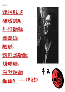 (正)人教版新课标语文八下《我的第一本书》教学课件：24页