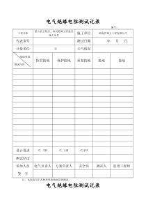 电气绝缘电阻测试记录