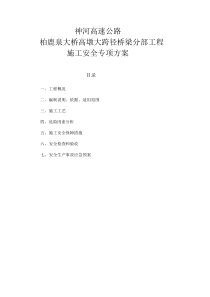 高墩柱安全专项施工方案(1)1