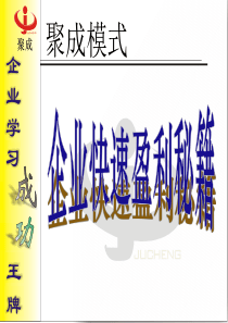 聚成模式.企业快速盈利秘籍