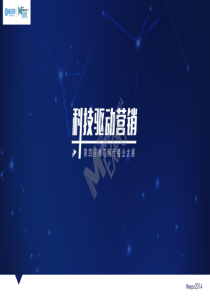 国双科技 续扬：“数”说营销