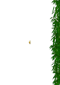 公开课教案 _吃水不忘挖井人_