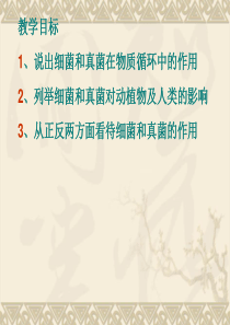 初中八年级(初二)生物-细菌和真菌在自然界中的作用课件.ppt