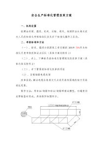 安全生产标准化管理改革方案1
