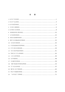 煤炭集团公司安全生产管理制度