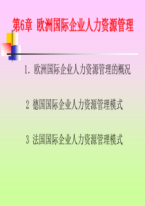 欧洲国际企业人力资源管理