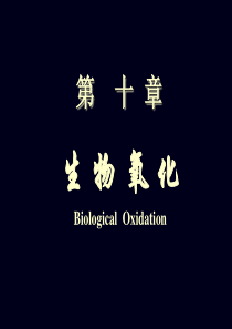 10章生物氧化-2