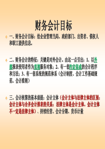 财务会计目标(ppt9)