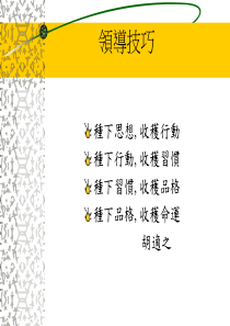 领导技巧