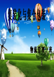 集装化与集合包装超炫