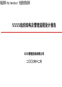 北大纵横--XX公司组织结构及管理流程设计报告（PPT41页）