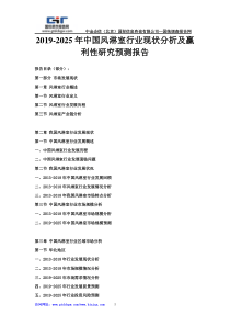 2019-2025年中国风淋室行业现状分析及赢利性研究预测报告