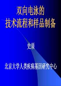 双向电泳操作双向电泳的技术流程和样品制备