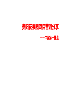 贵阳花果园项目营销案例分享