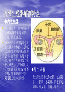 妇科课件(新员工)