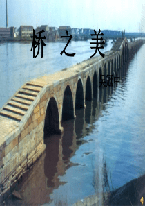 《桥之美》公开课