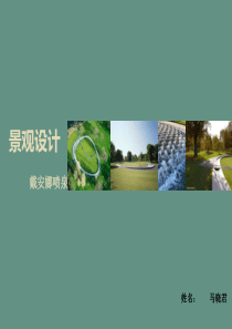 戴安娜纪念喷泉分析