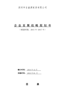 2016公司发展战略规划书(详细)