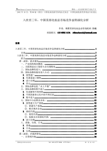 入世首三年,中国美容化妆品市场竞争态势演化分析(演讲版)