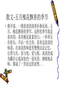 散文-五月槐花飘香的季节