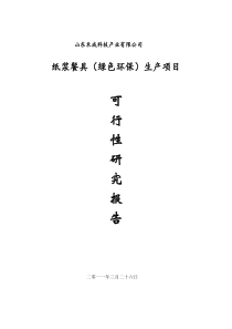 可行性报告范本