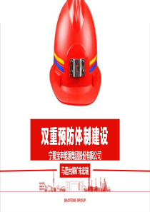 双重预防体制建设外部使用1