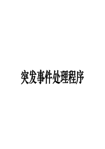安保组突发事件处理流程[1]