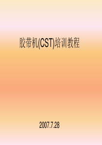 CST用户培训教程